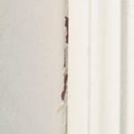 crack in the wall between the door frame and the trim